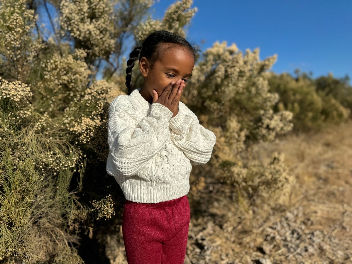 Molly Sweater - Ivory Knit