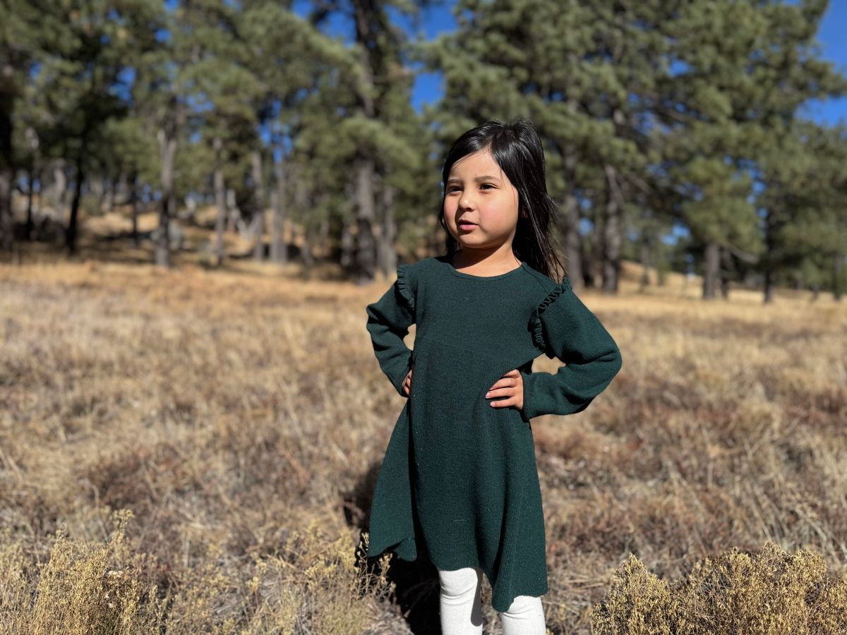 Mia Dress - Green Knit