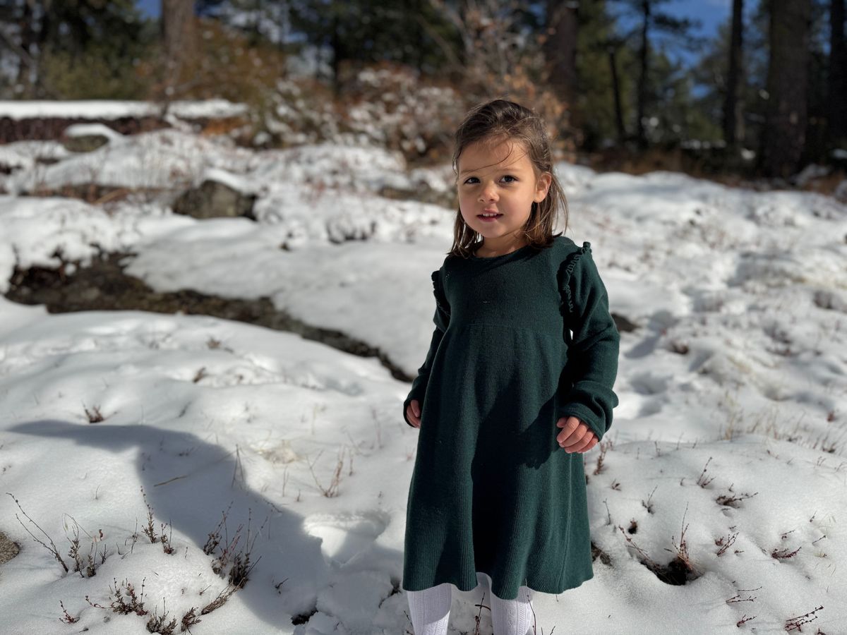 Mia Dress - Green Knit
