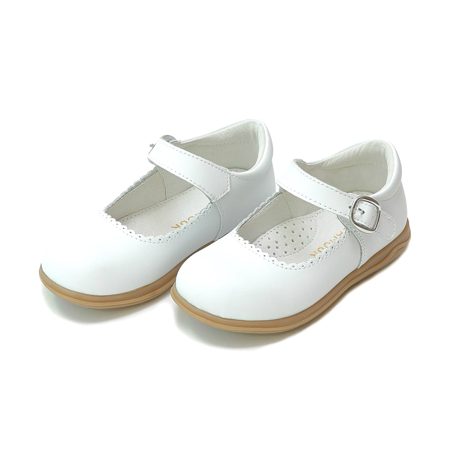 Chloe Scallop MJ - H-501