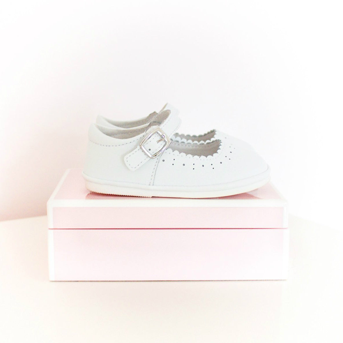 Scarlett Scallop MJ - N-202