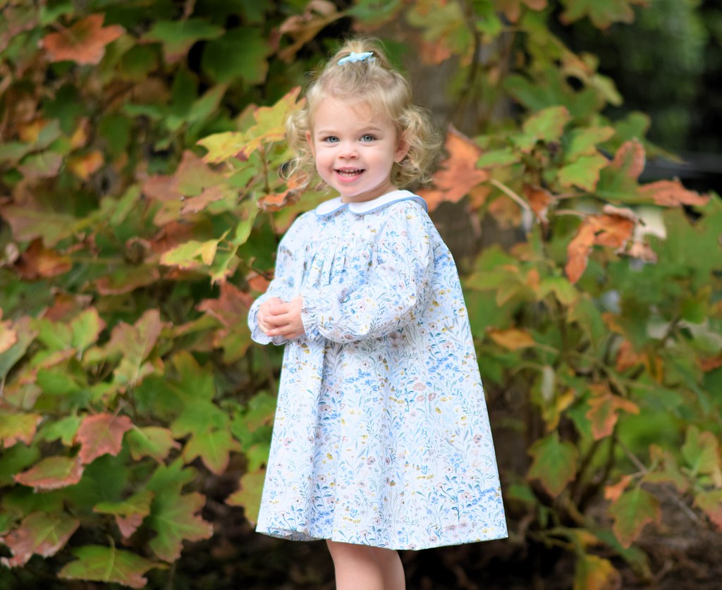 Willow Floral L/S Dress