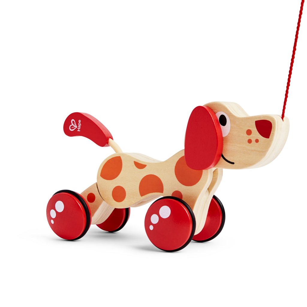 Walk-A-Long Puppy - E0347BF