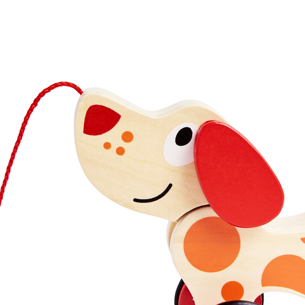 Walk-A-Long Puppy - E0347BF