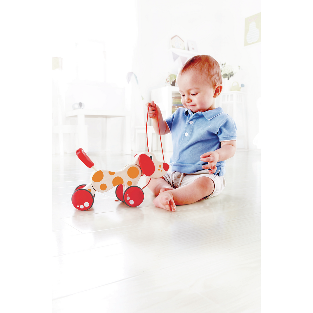 Walk-A-Long Puppy - E0347BF