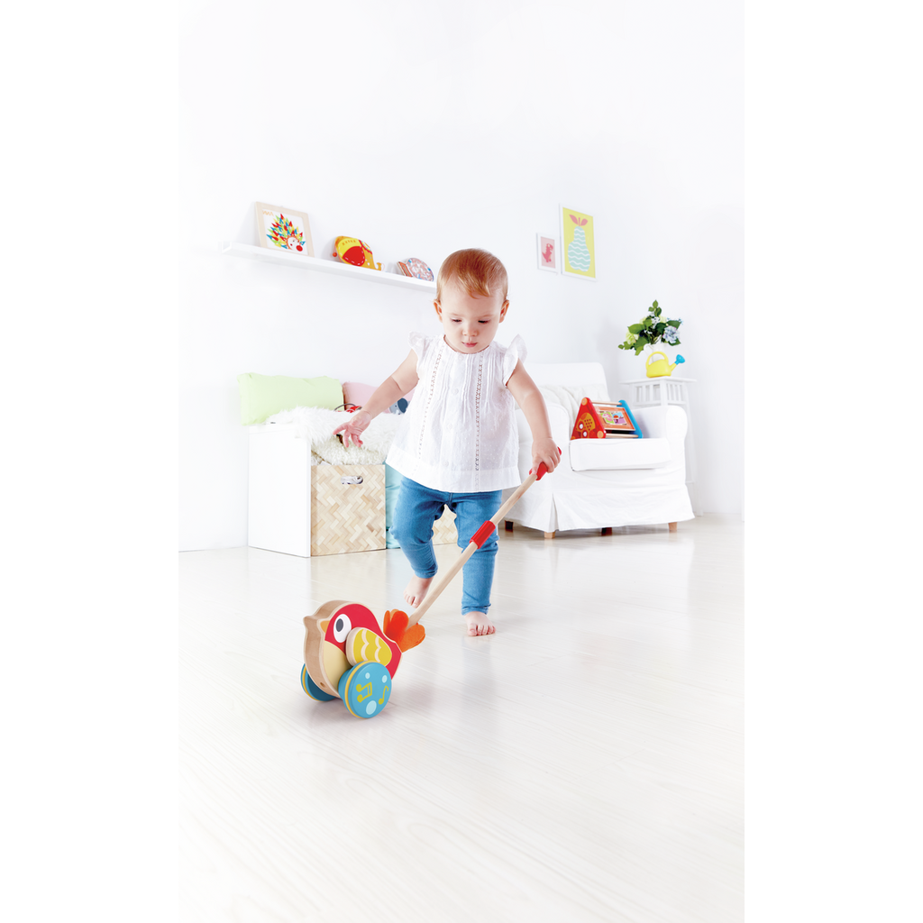 Lilly Musical Push Along - E0353
