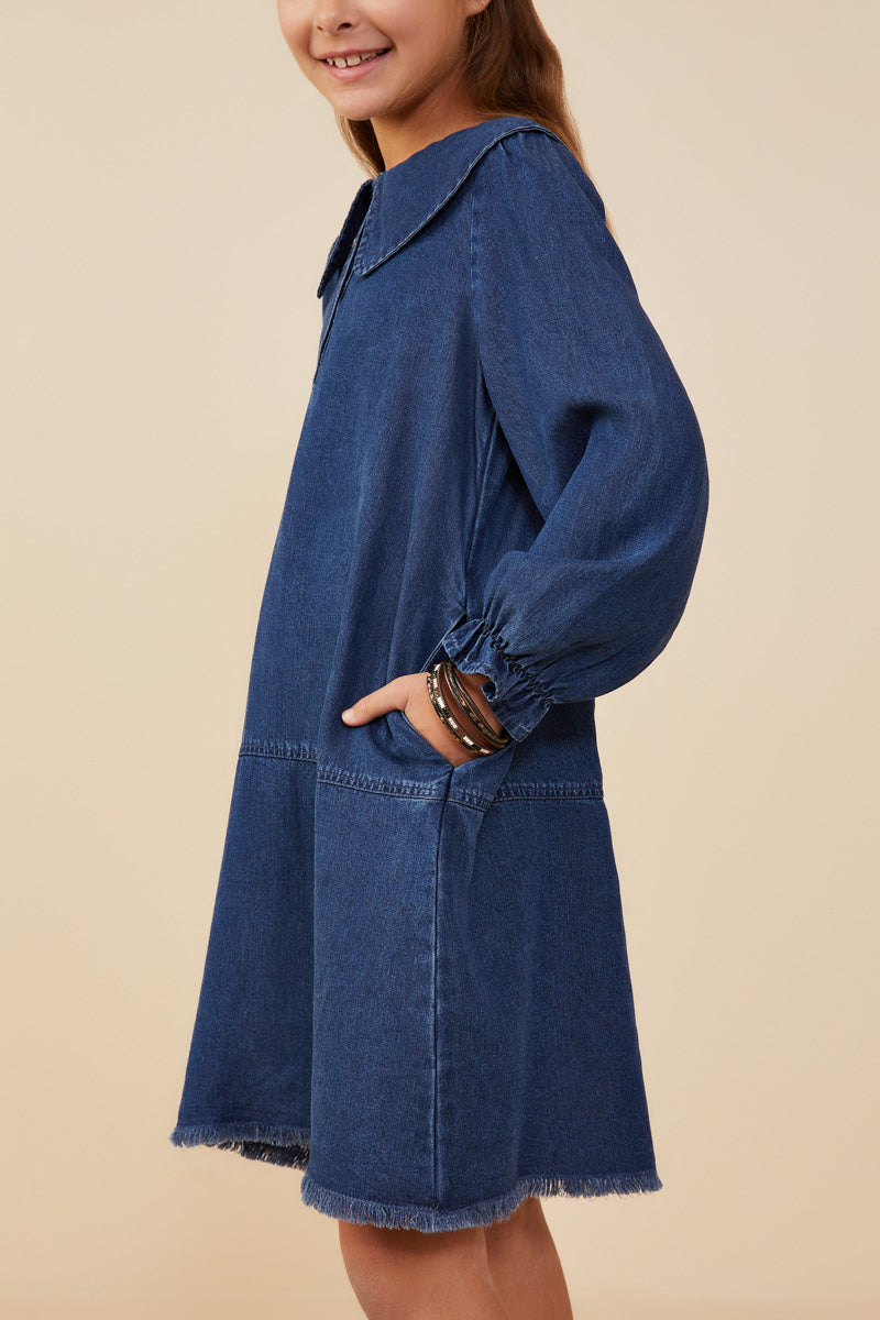 Collar Chambray Dress - Denim