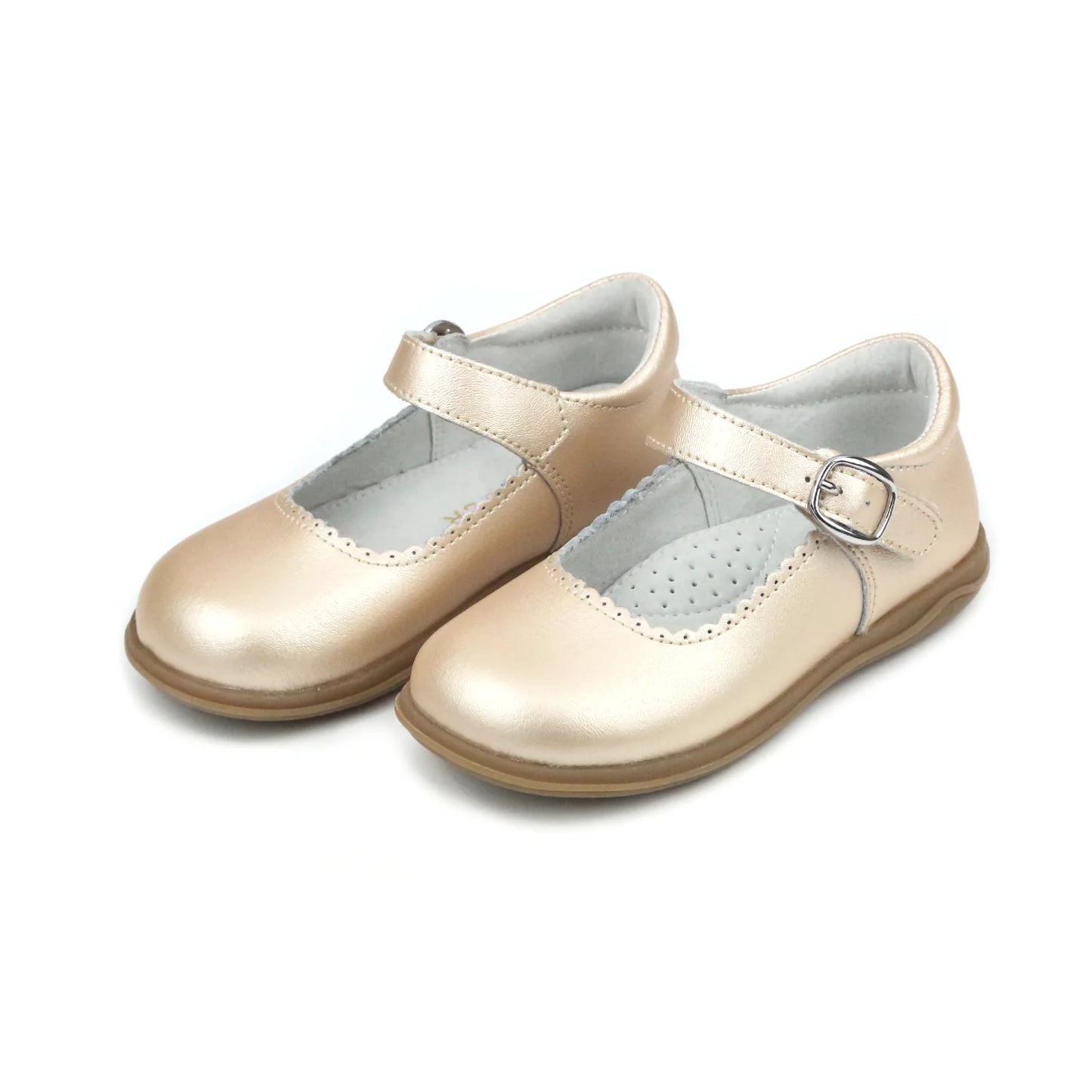 Chloe Scallop MJ - H-501
