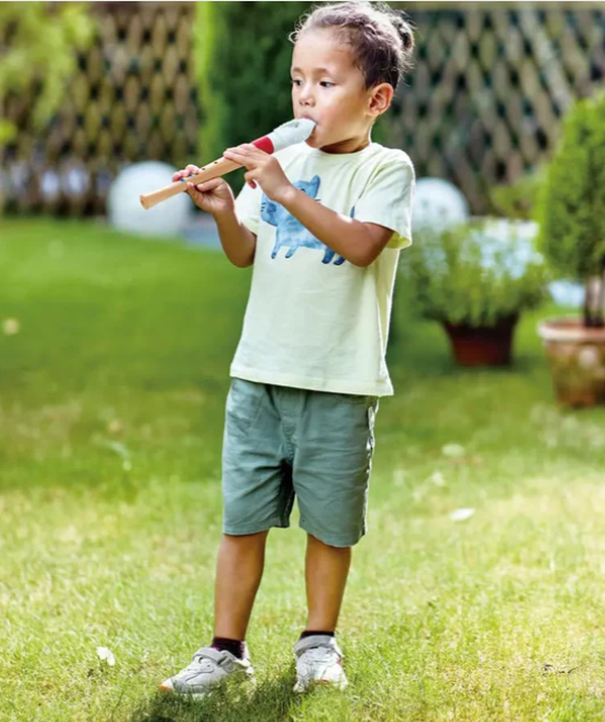 Mini Musician's Starter Recorder