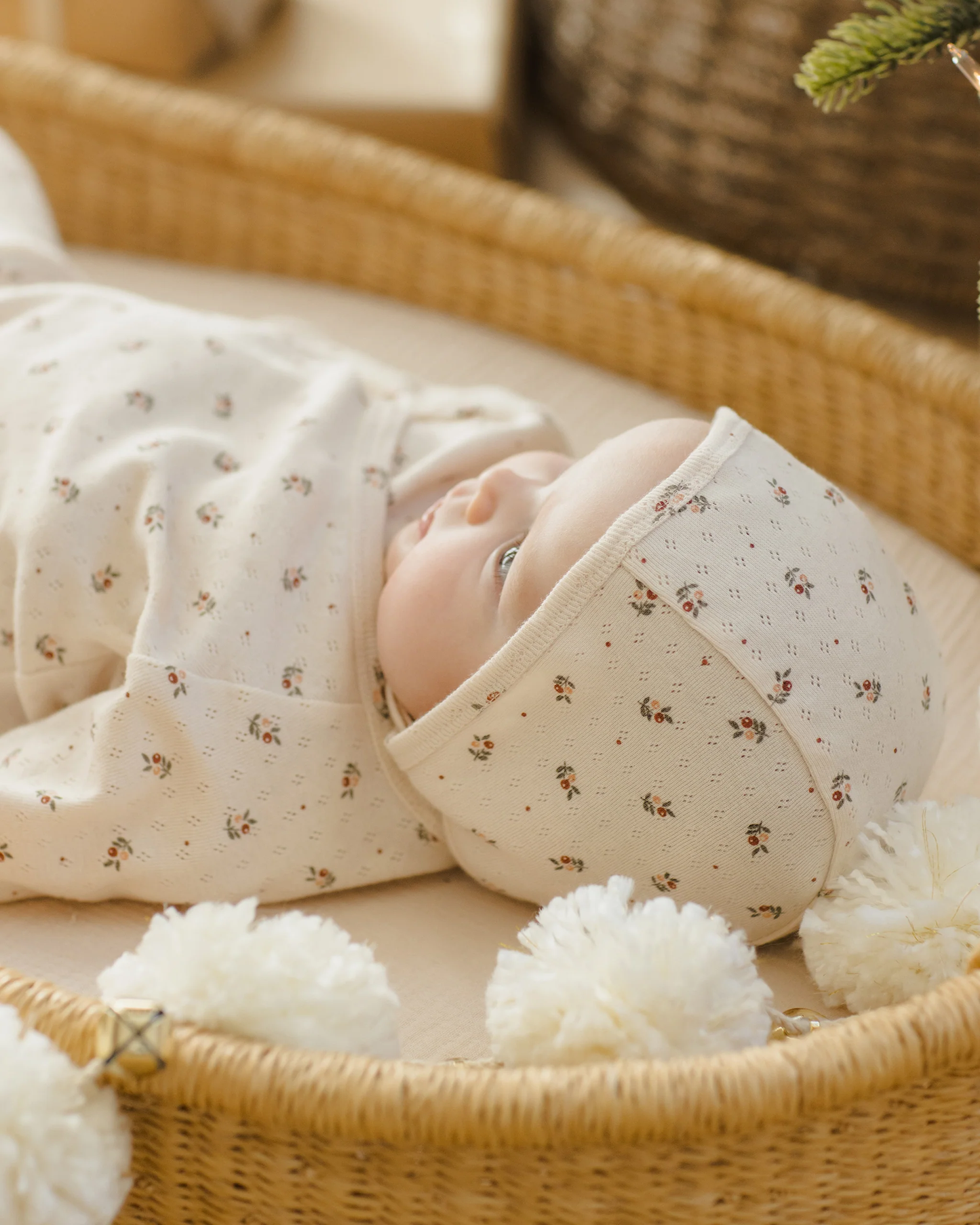 Take Home Set - Holly Berry