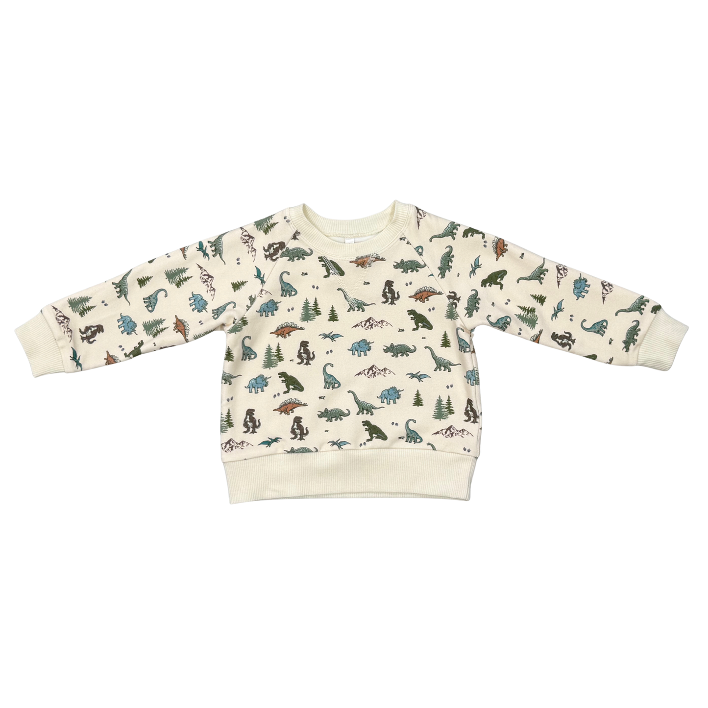 Boys Sweatshirt