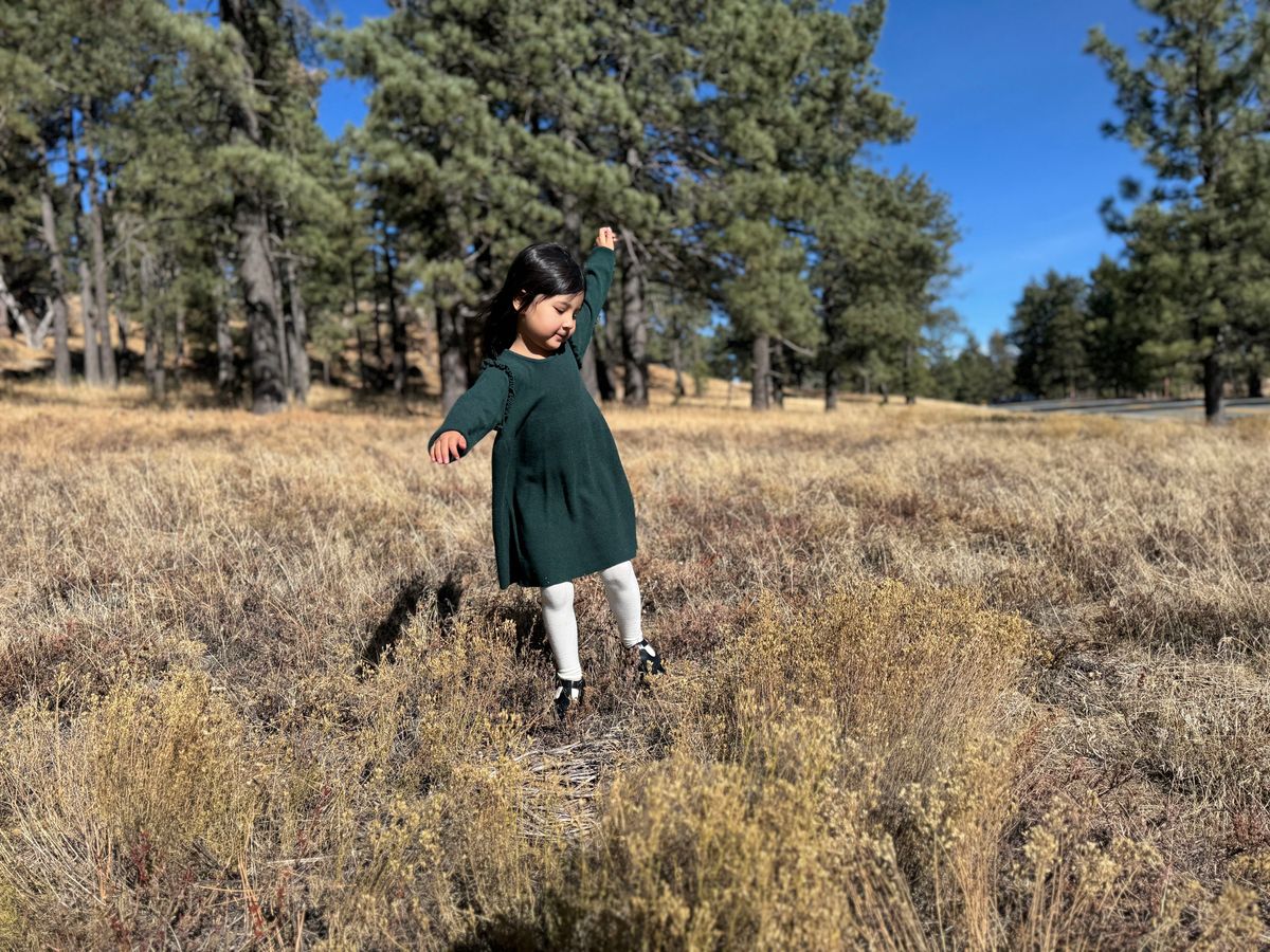 Mia Dress - Green Knit