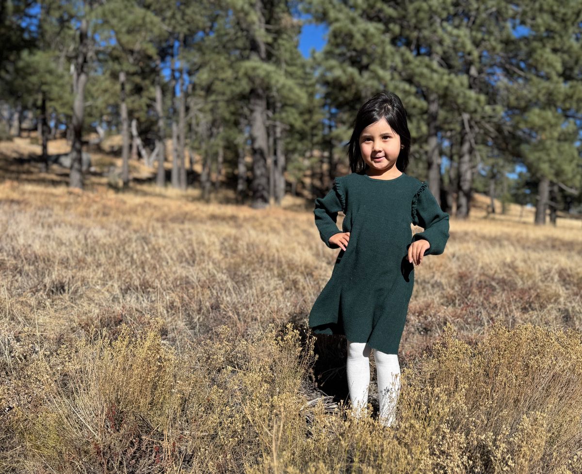 Mia Dress - Green Knit