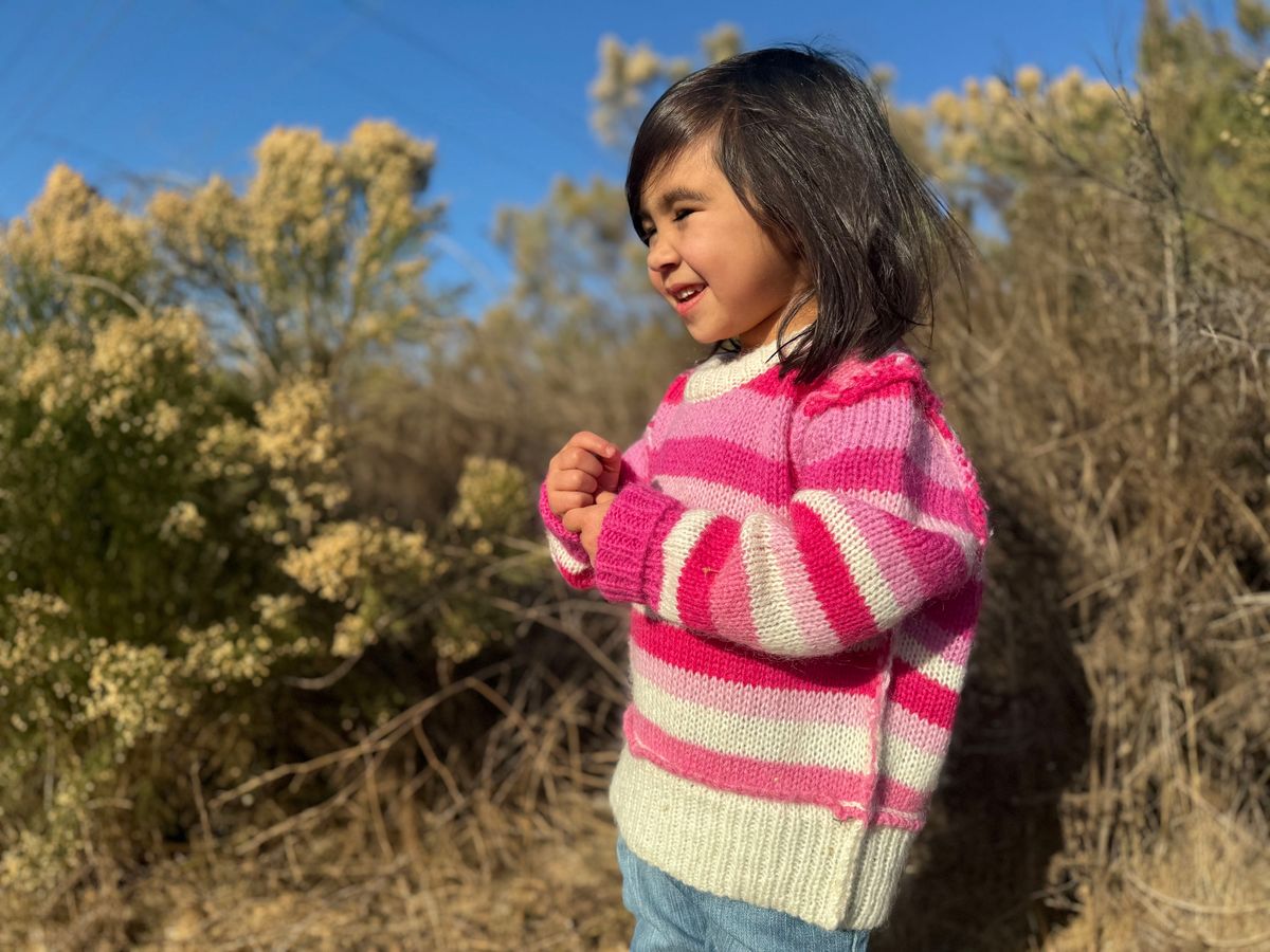 Donna Sweater - Berry Knit