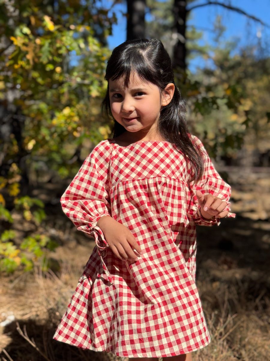 Red Check Olivia Dress-1844