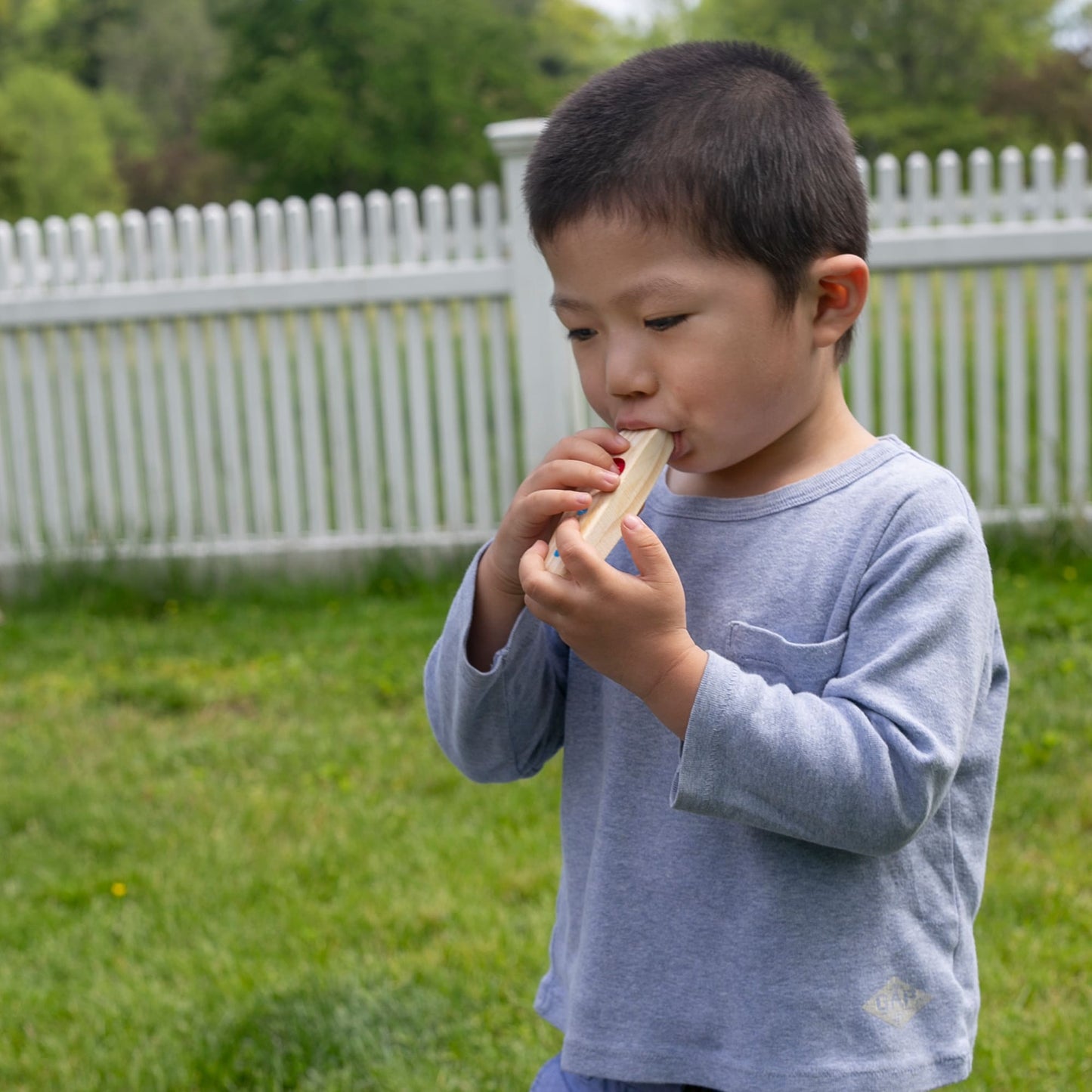 Band in a Box - Hum! Jangle! Shake!