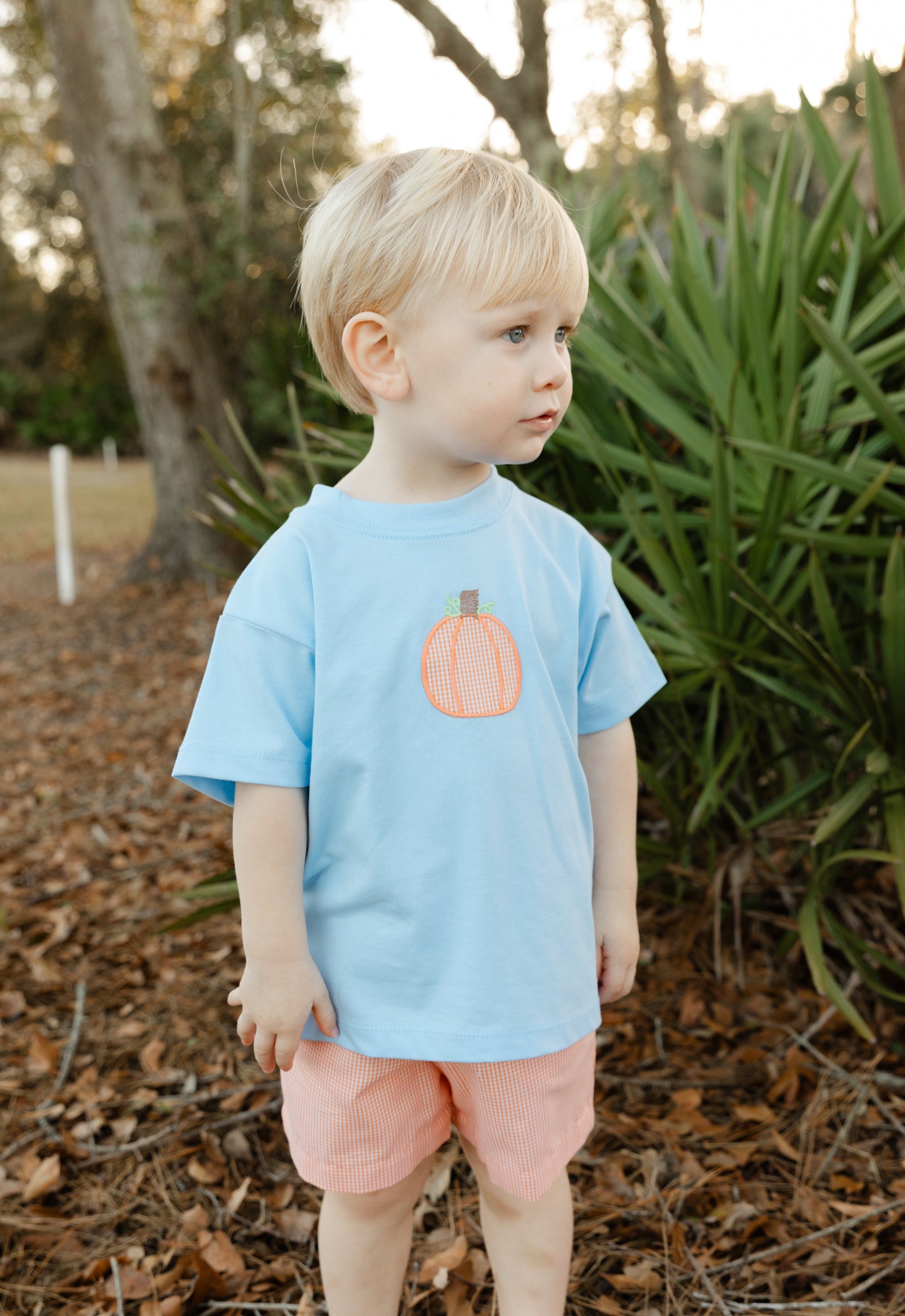 Lil Pumpkin Patch - Boys Set
