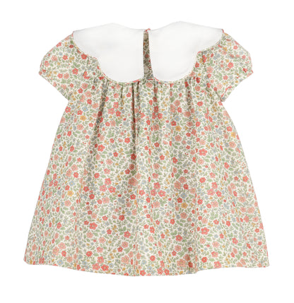 Storybook Vintage Scallop Dress/Orange-SL1103