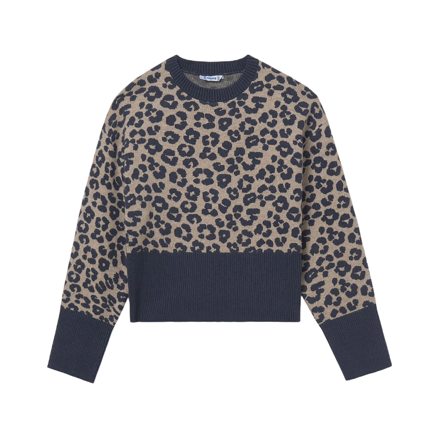 Leopard Print Sweater