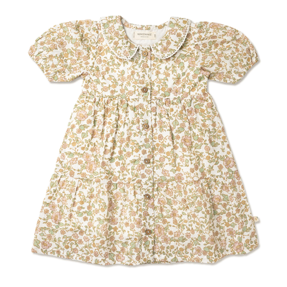Collar Dress - Tuscan Bloom