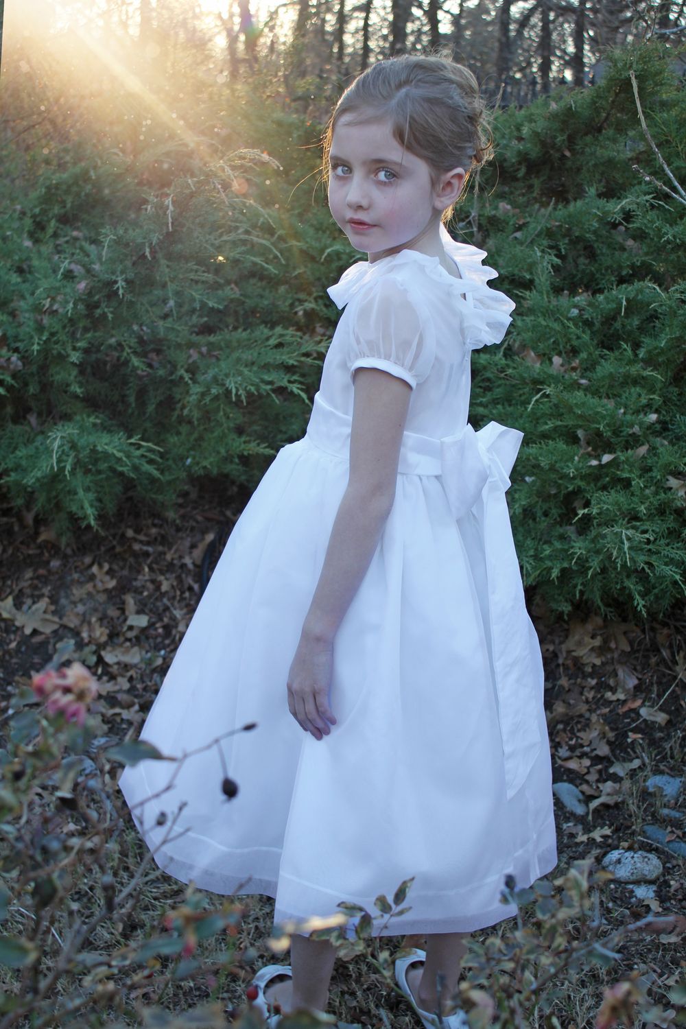 Silk Organza Ruffle Dress - 4928