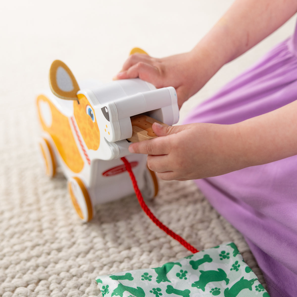 Feed, Walk, and Poo Pup