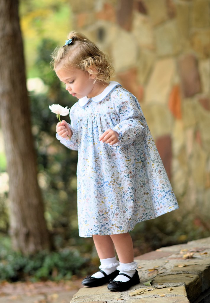 Willow Floral L/S Dress