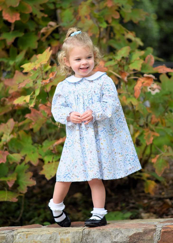 Willow Floral L/S Dress