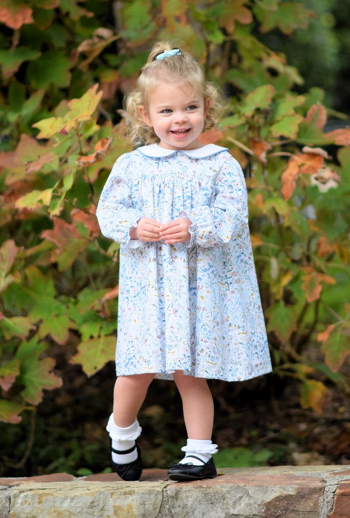 Willow Floral L/S Dress