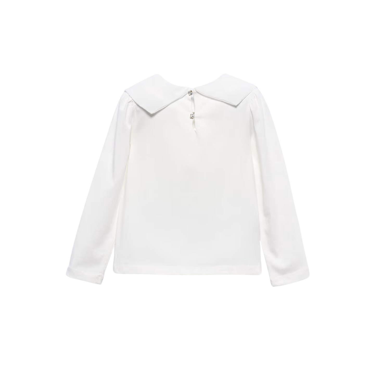 Chiffon Bow Collar Blouse