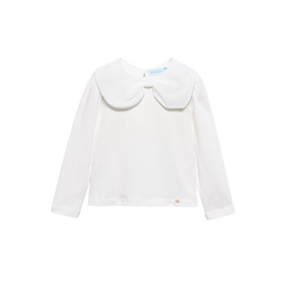 Chiffon Bow Collar Blouse