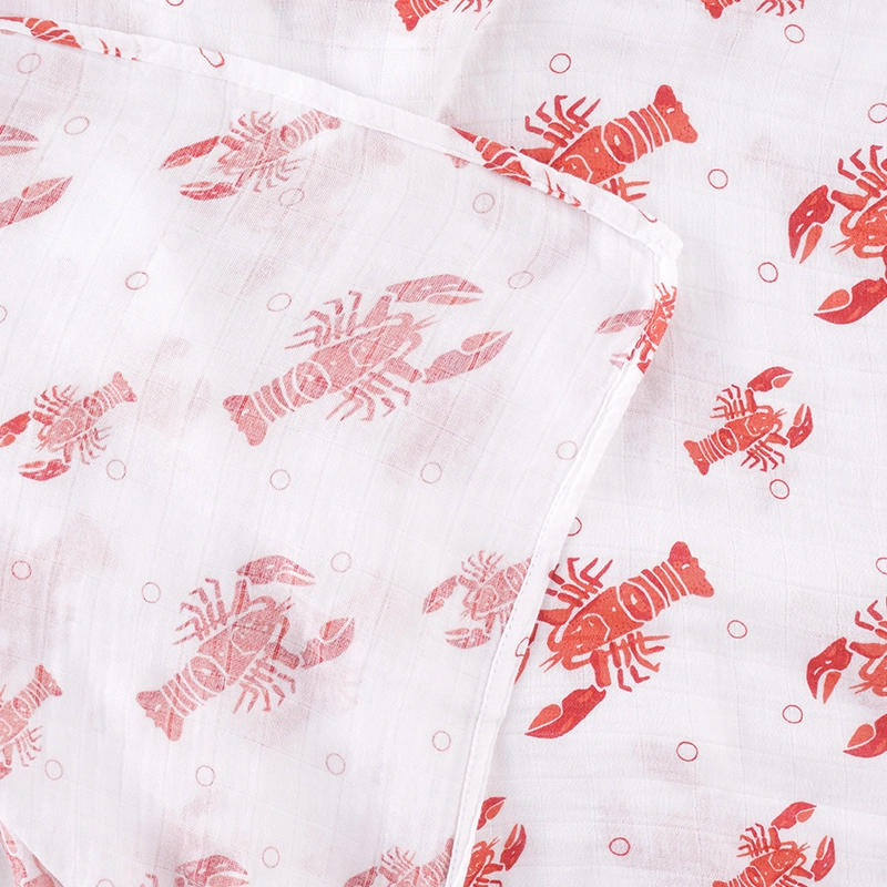 Heads or Tails Swaddle Blanket