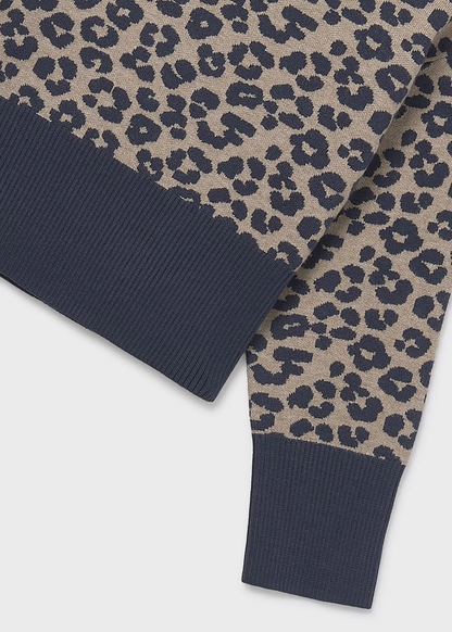 Leopard Print Sweater