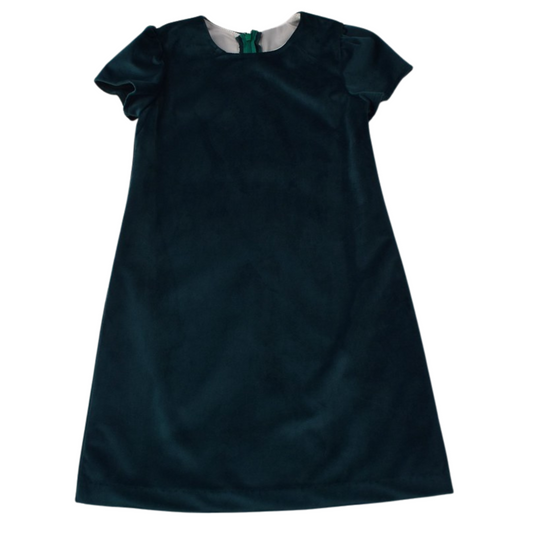 Green Velvet Dress
