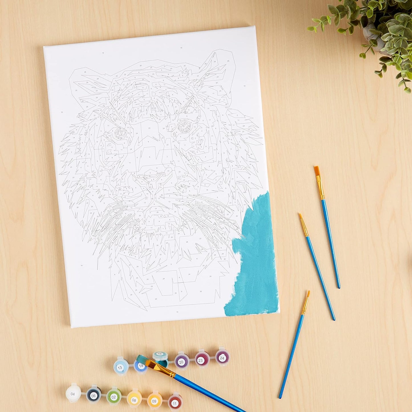 Paint by Numbers Art Kit