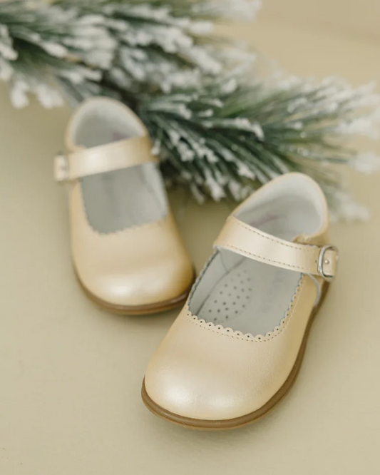 Chloe Scallop MJ - H-501