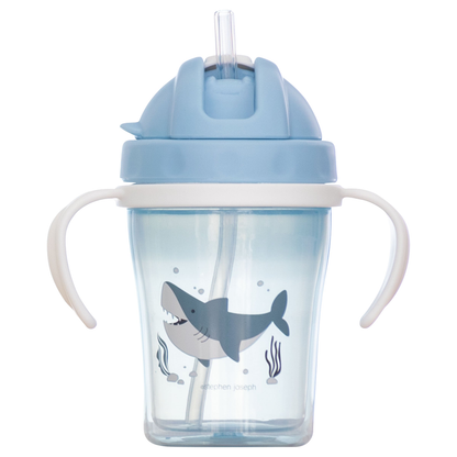 Straw/Sippy Cup