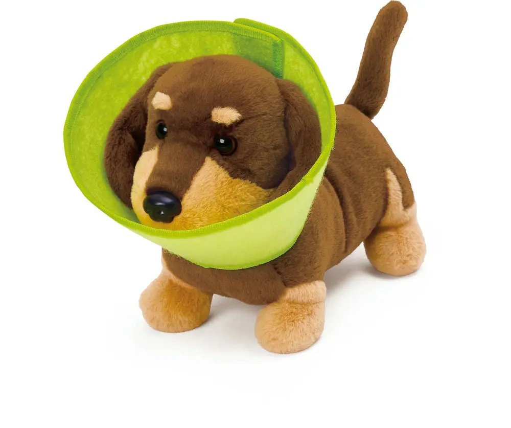 Puppy Care Clinic Vet Set
