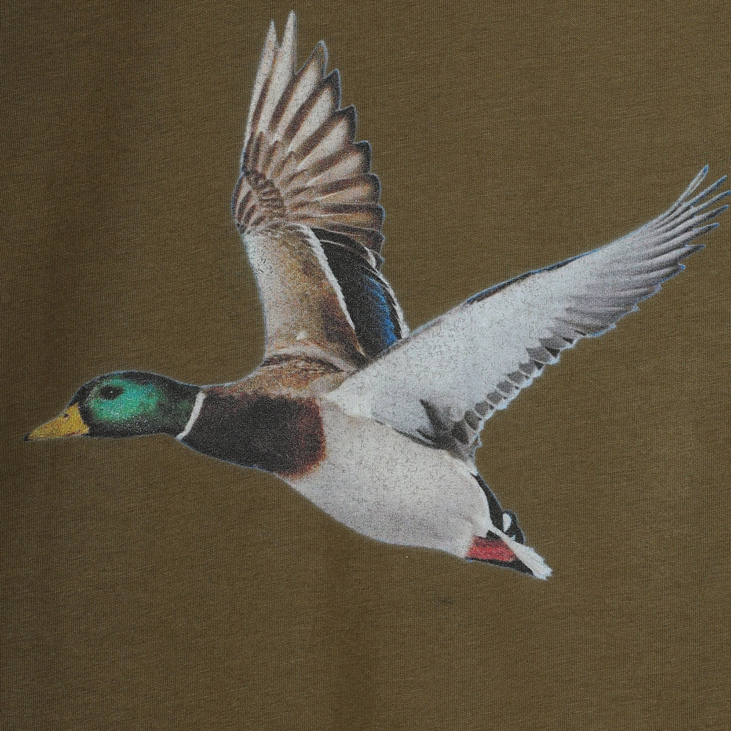Organic Duck L/S Tee - Olive