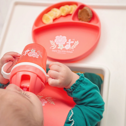 Straw/Sippy Cup