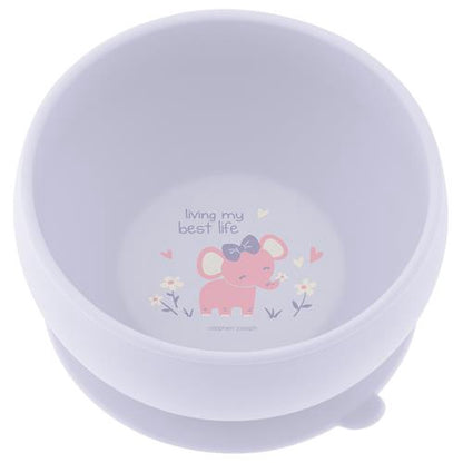 Suction Cup Silicone Bowl