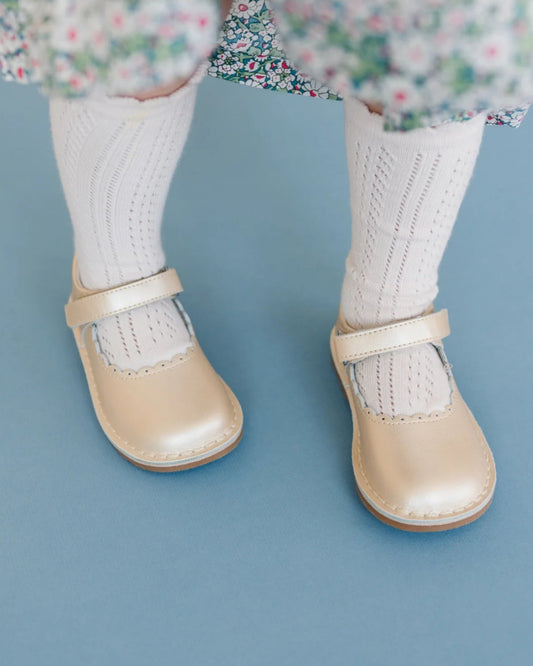 Caitlin Scalloped MJ - F-488