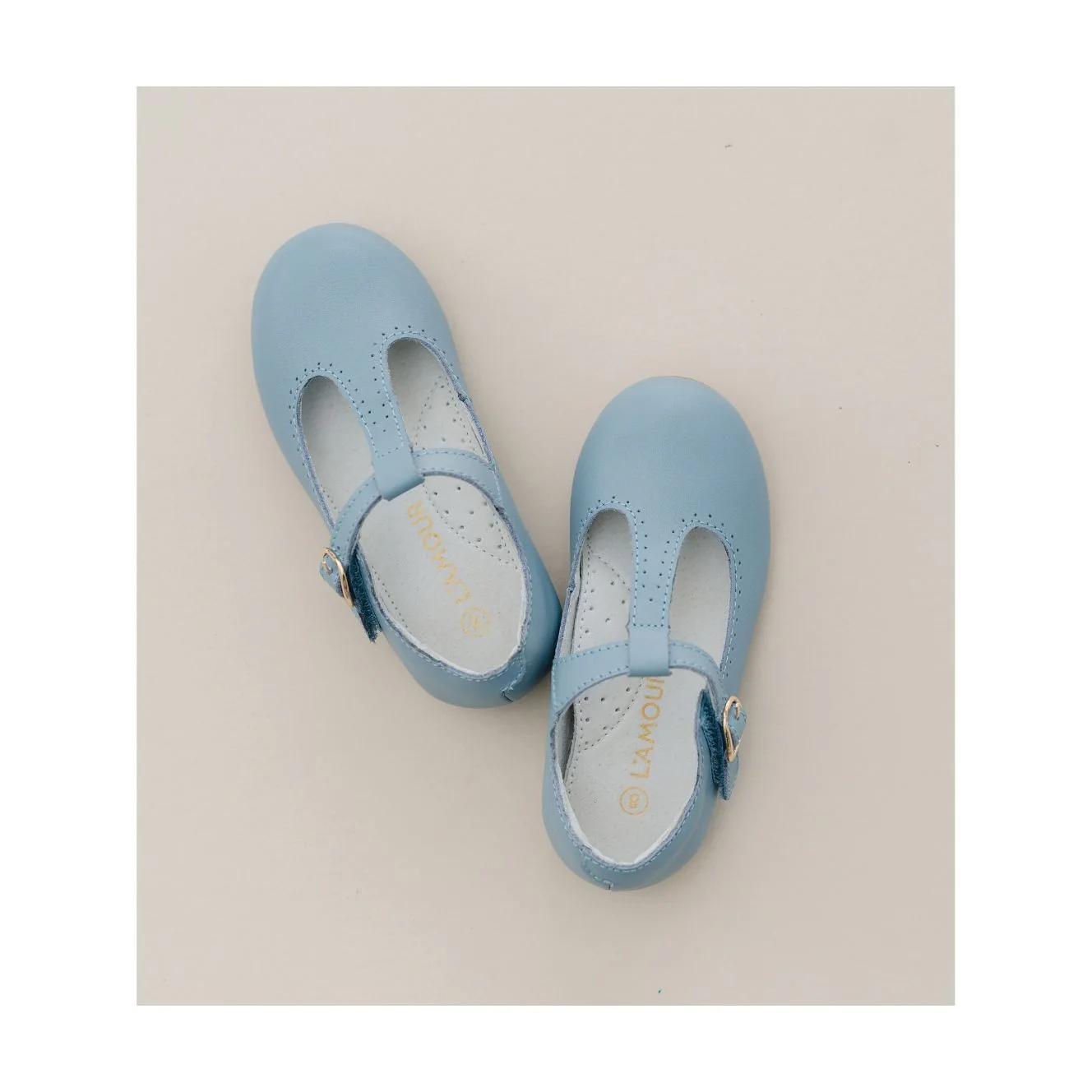 Eleanor T-Strap Flat - F-582