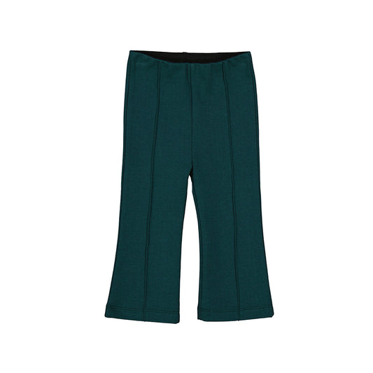 Flared Pants - 2538