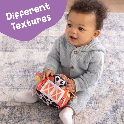 Peek-A-Moo Friendly Barn™ Developmental Toy
