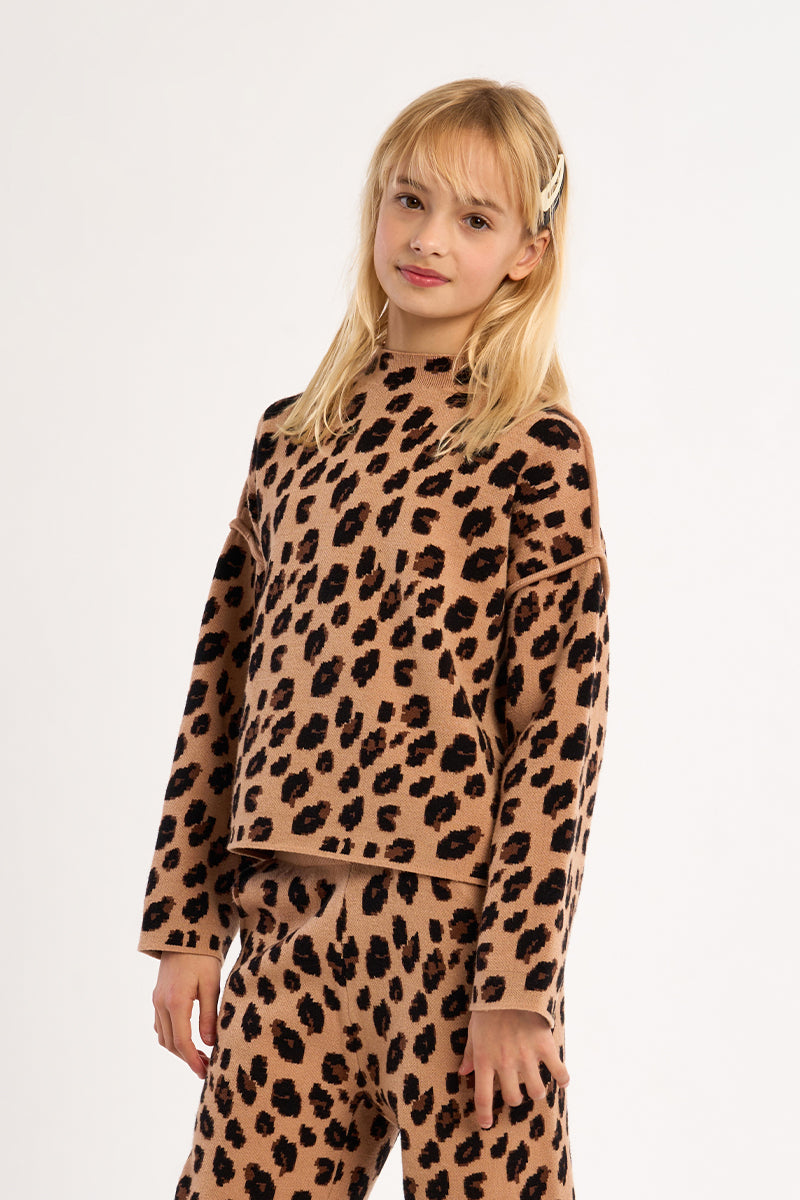 Leopard Sweater-1800