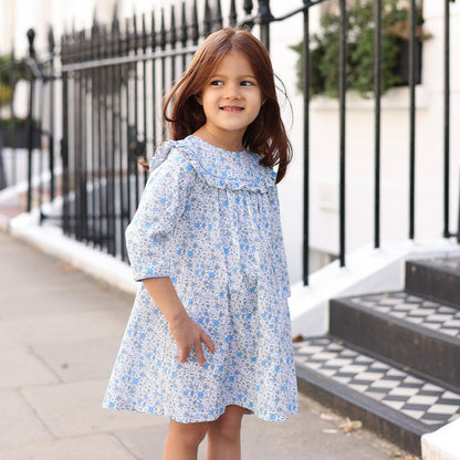 Blue Floral Dress