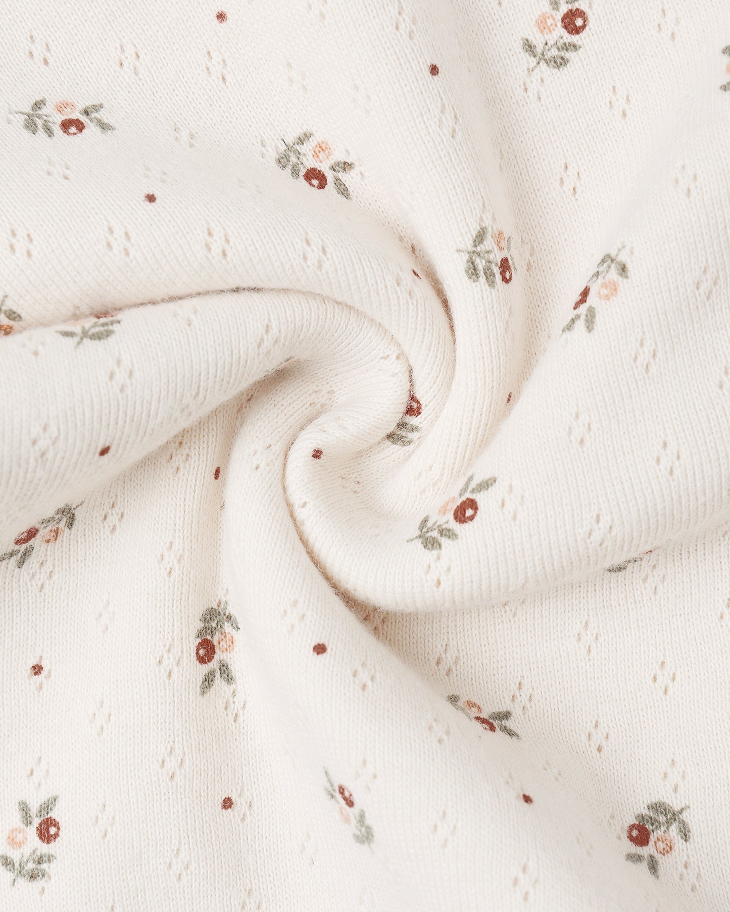 Take Home Set - Holly Berry