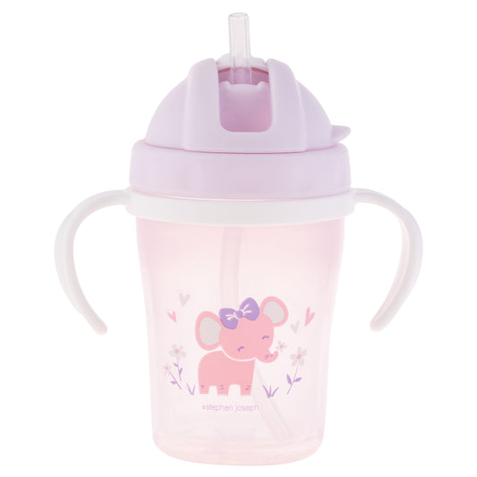 Straw/Sippy Cup