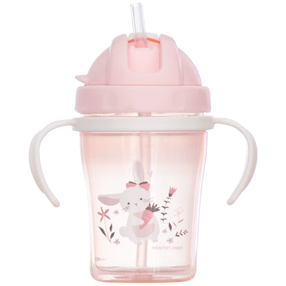 Straw/Sippy Cup